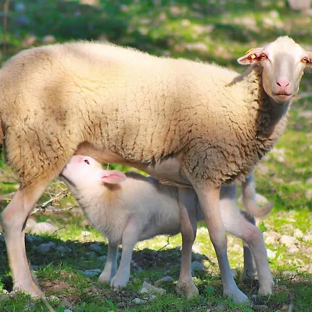 094 Barranc Son Fullos Etv2624 By Mallorca Charme *